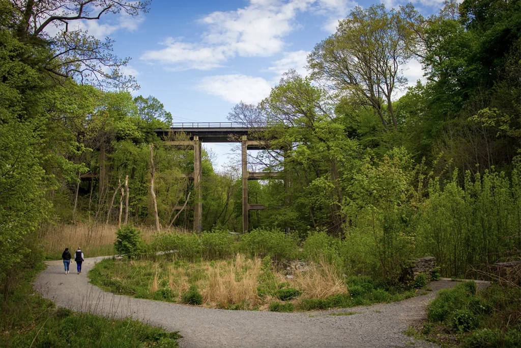 vale of avoca ravine with railway trestle in background. Image: ©A Great Capture