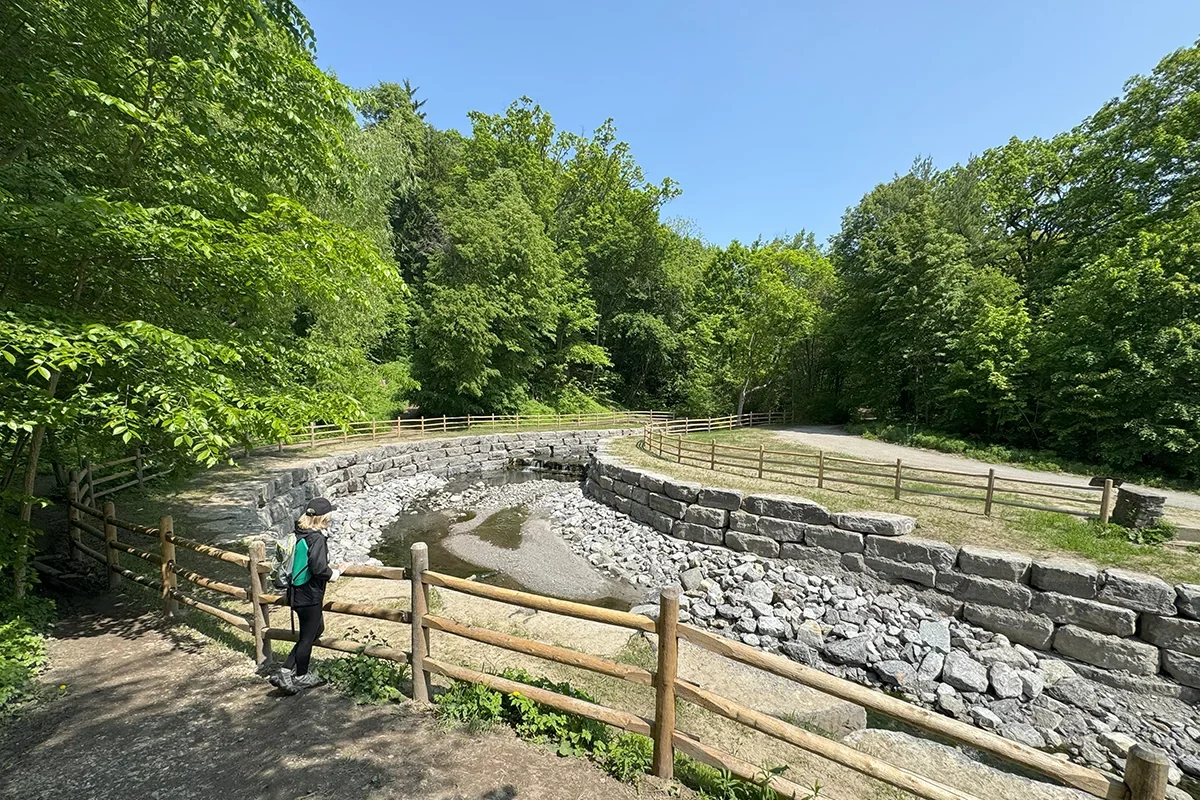 Stream bed with rip rap banks, trees in background, post and rail fence in foreground with a woman hiker looking at stream bed on a sunny summer day.
