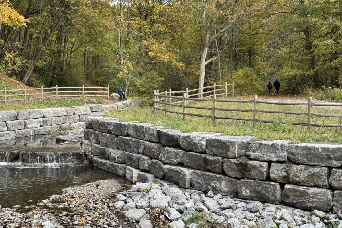 Extreme Weather Challenge for the Vale of Avoca