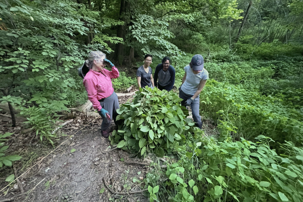 Volunteer Stewards Pitching in for Biodiversity