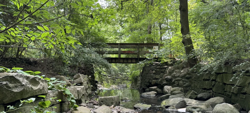 Footbridge over Yellow Creek