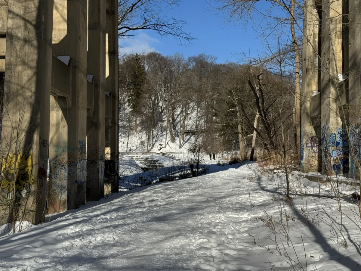 Looking north through the Avoca rail bridge