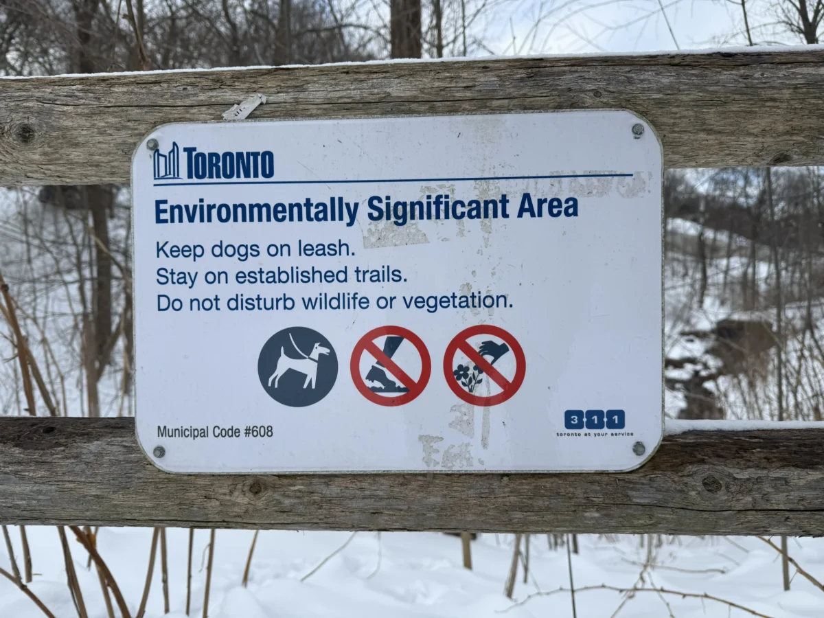 City Guidelines for Ecological Management of Sensitive Ravine Areas