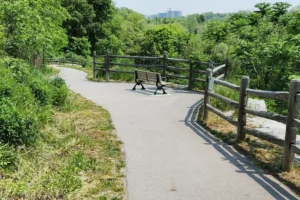Switchback View