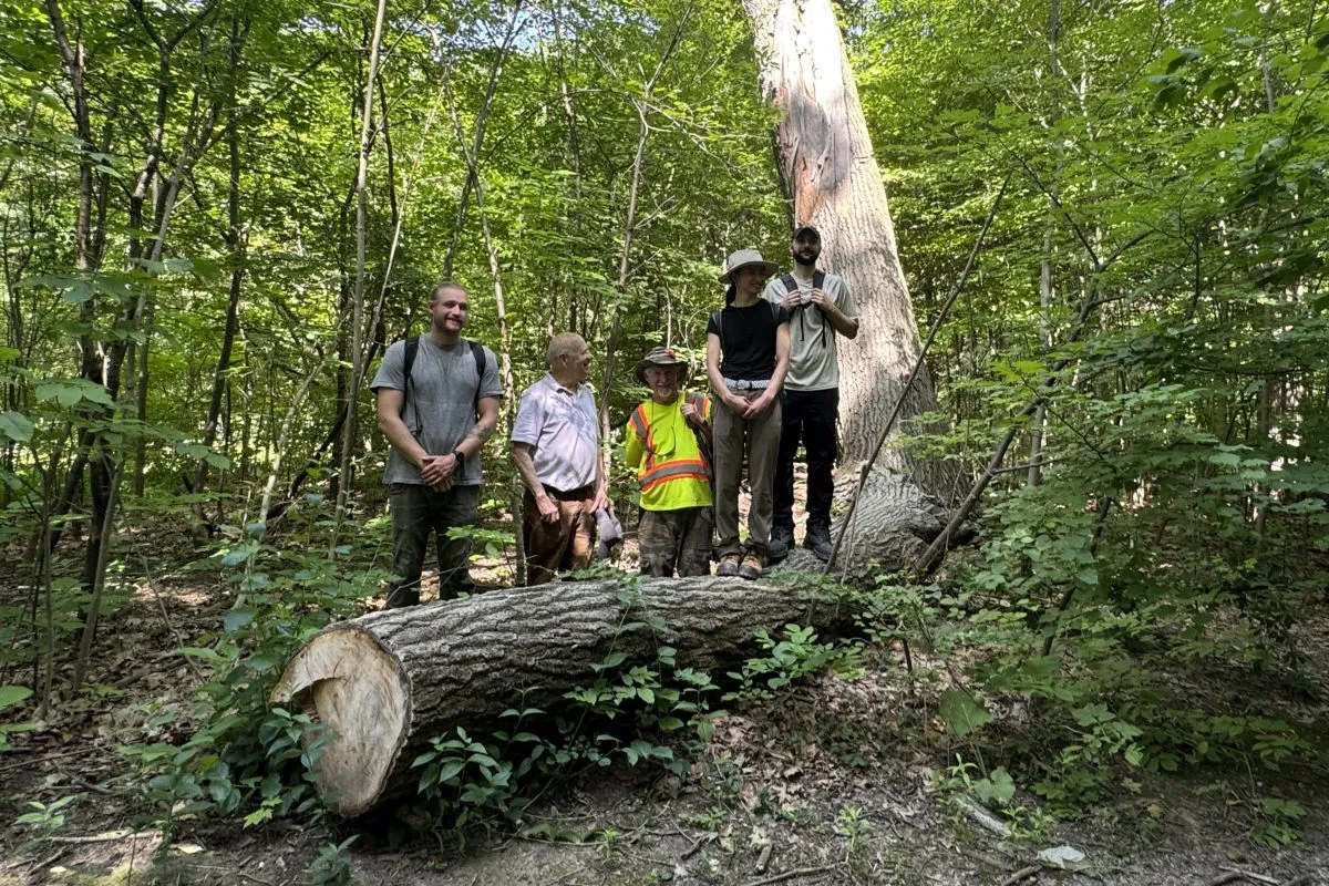 Studies of Ravine Plant Communities Are Underway in the Vale